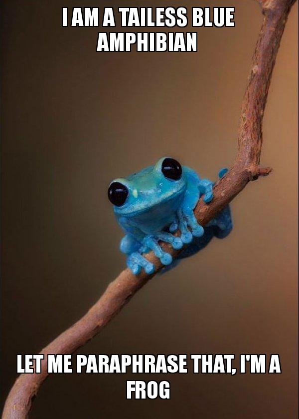 Meme of a frog deliberately paraphrasing its description incorrectly